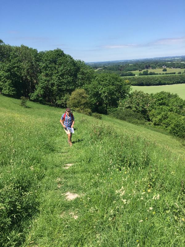 Perfect walk for a summer’s day