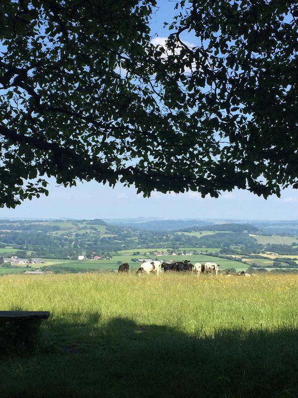 Spectacular views and a challenging hill took my breath away!