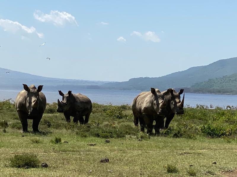 Go2Africa, a company +Travel Expert (Giada) who delivered an EXPERIENCE!!
