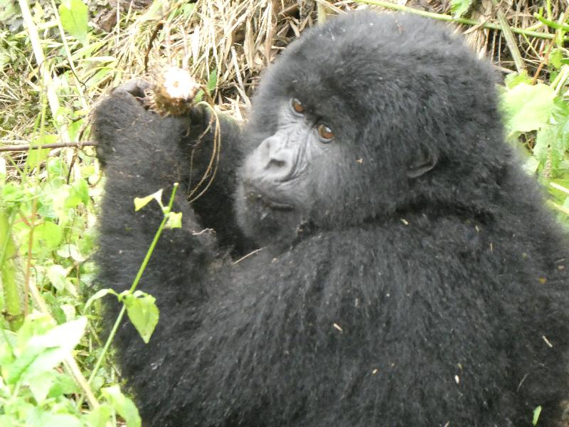 Thank you Go2Africa for such an incredible journey!