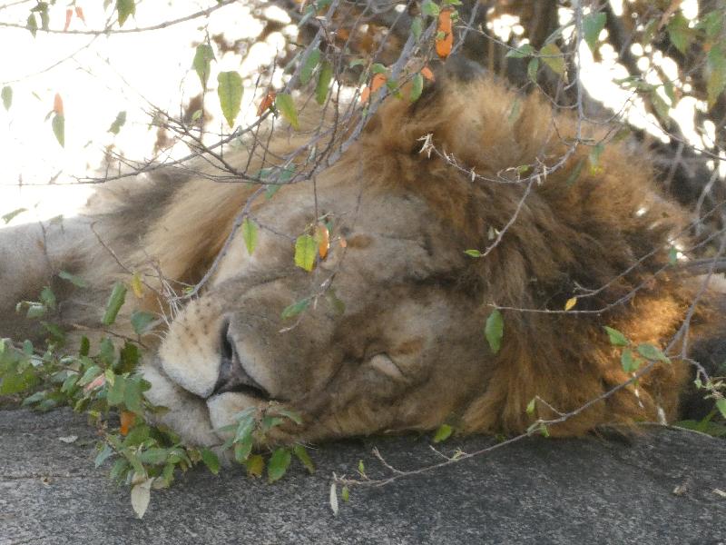 Thank you Go2Africa for such an incredible journey!