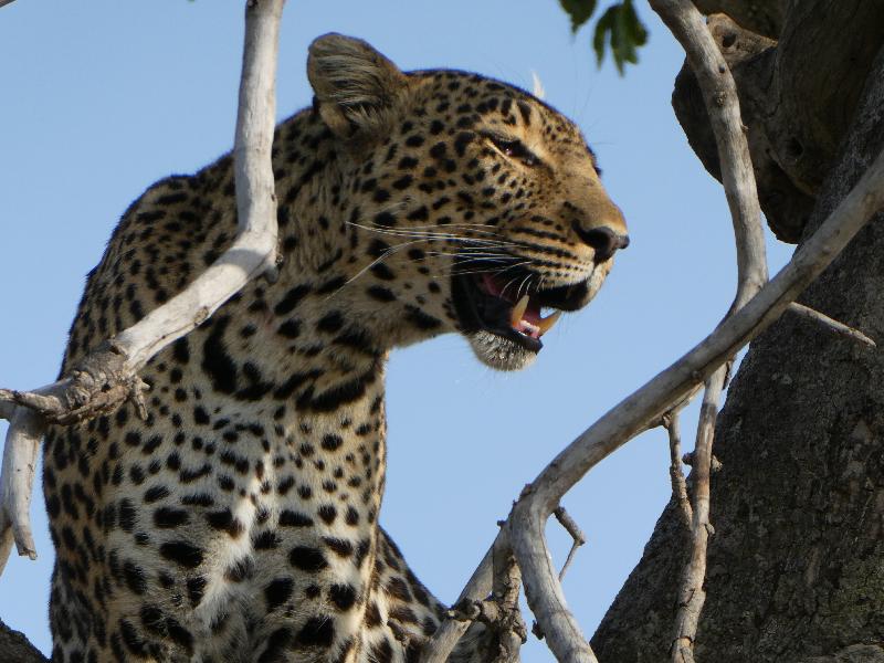 Thank you Go2Africa for such an incredible journey!