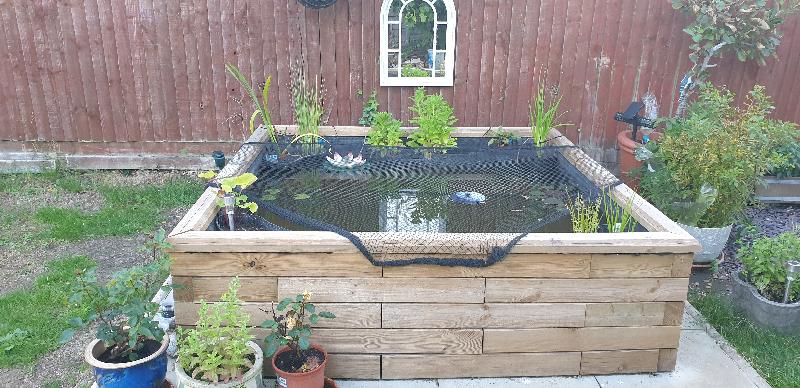 Great focal points in my garden
