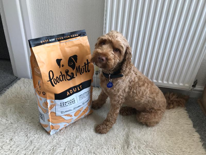 Great food from Pooch & Mutt