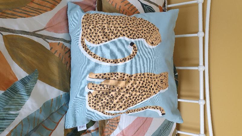 Item ( cushion) arrived well packaged and promptly, great company !
