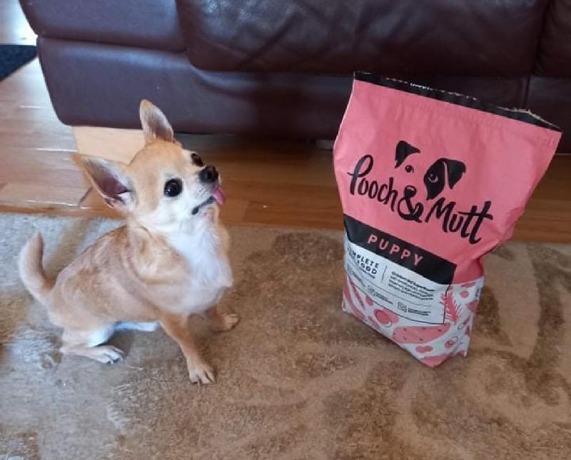 Great for our Chihuhua!