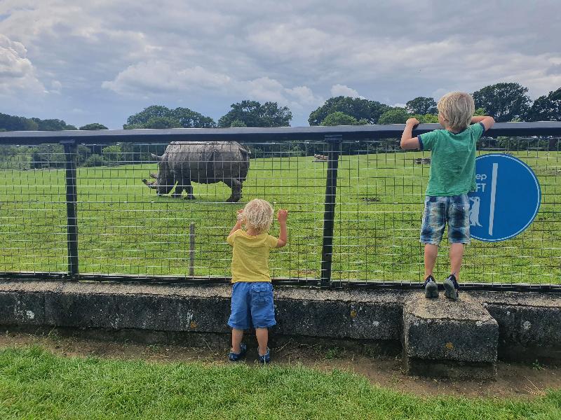 Great family day out - happy to recommend and will definitely go back
