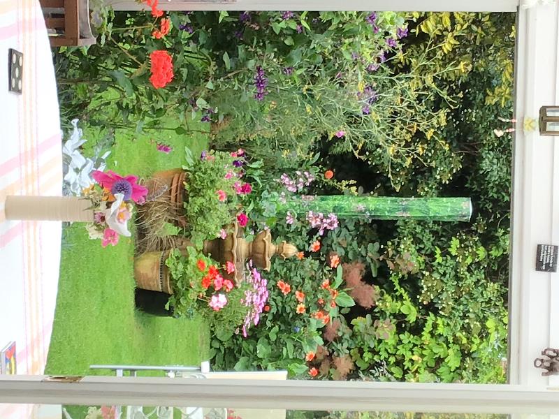 Great “ camouflage “ for garden brolly