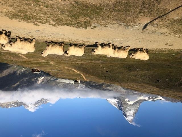 Undoubtedly, one of the world's top 10 hiking trips!