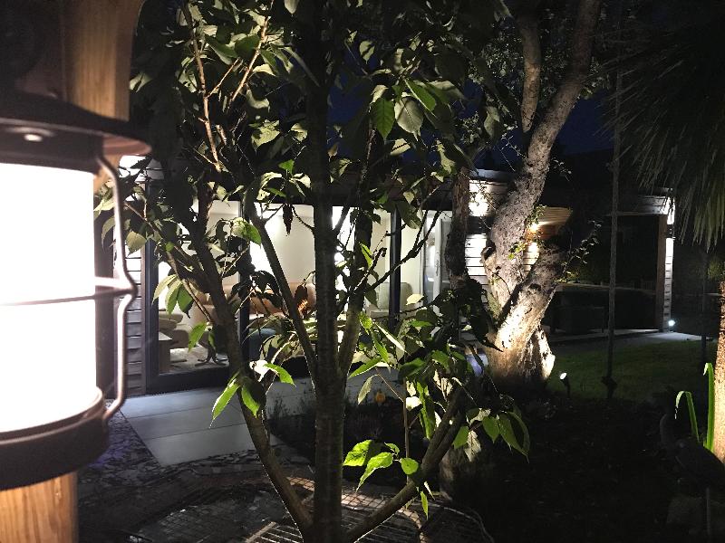 Perfect lighting for our garden