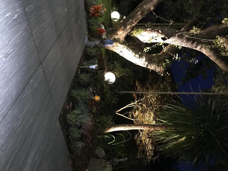 Perfect lighting for our garden