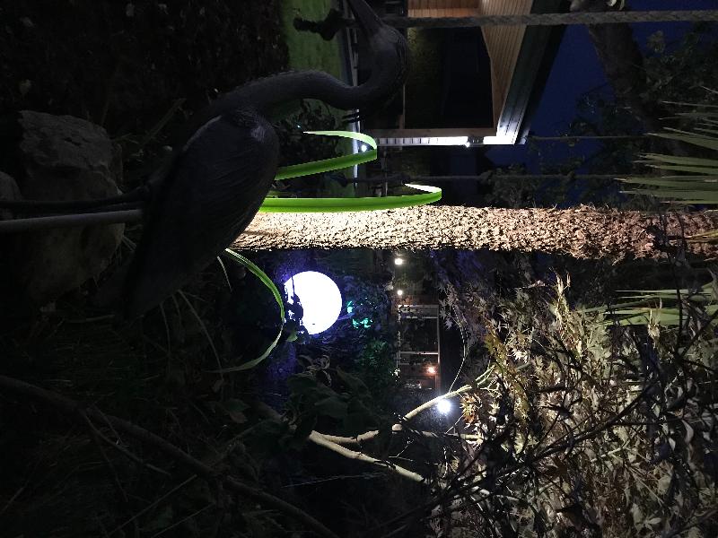 Perfect lighting for our garden