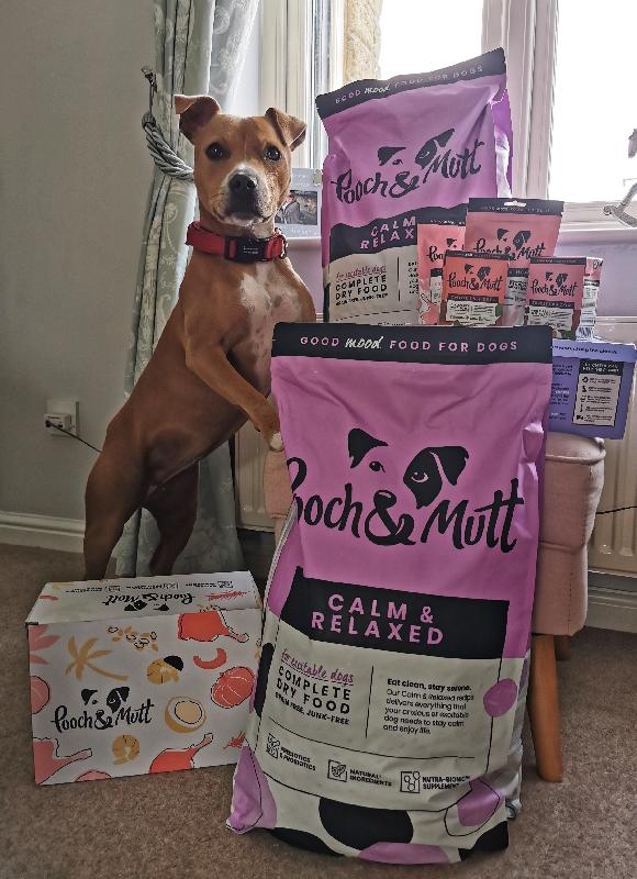 Dog loves this food gobbles it up
