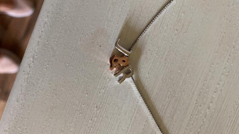Beautiful necklace & quick delivery