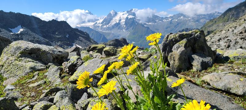 Mont Blanc Treks Self-guided Haute Route.
