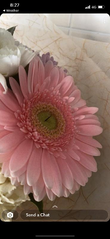 Unsatisfactory standard from florist. The wire should not be visible.