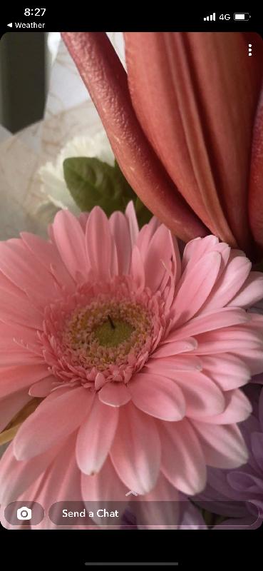 Unsatisfactory standard from florist. The wire should not be visible.