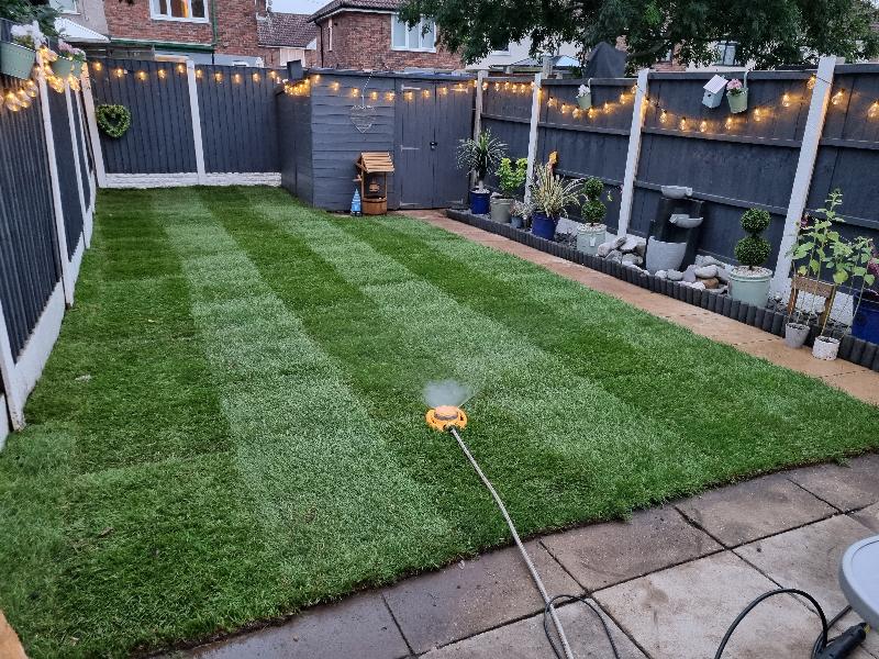 Perfect green turf.