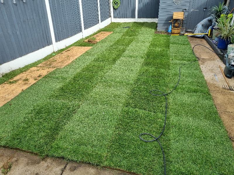 Perfect green turf.