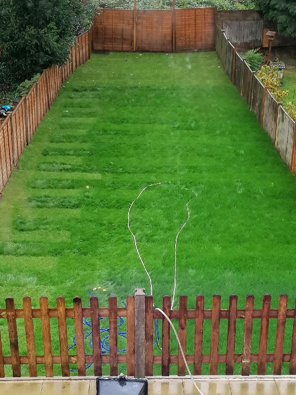 Great quality turf