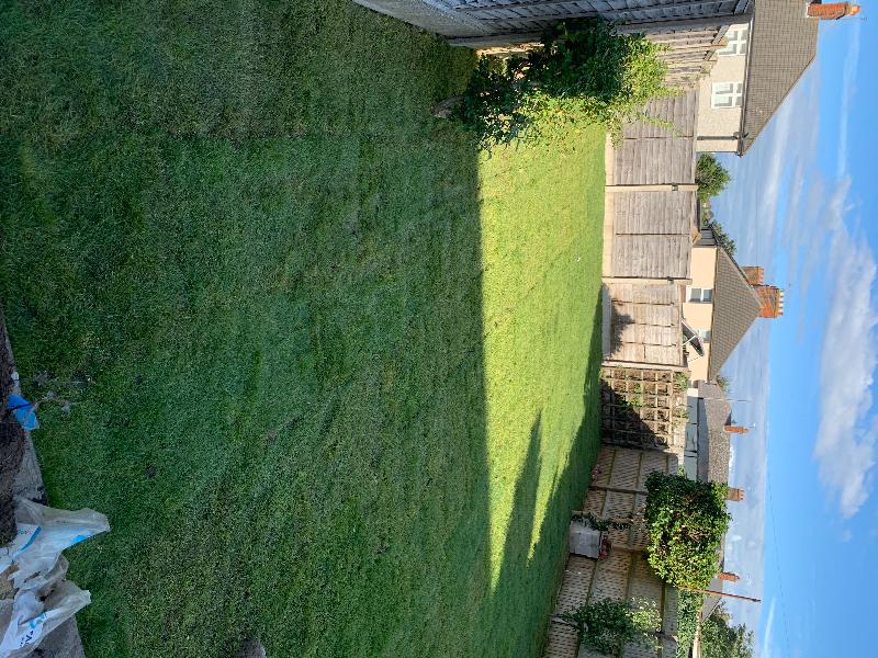 Feedback of my recent tpurchase of turf