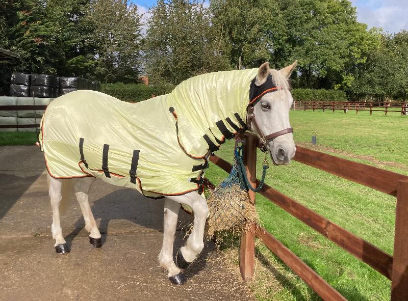 Bee looking her best.