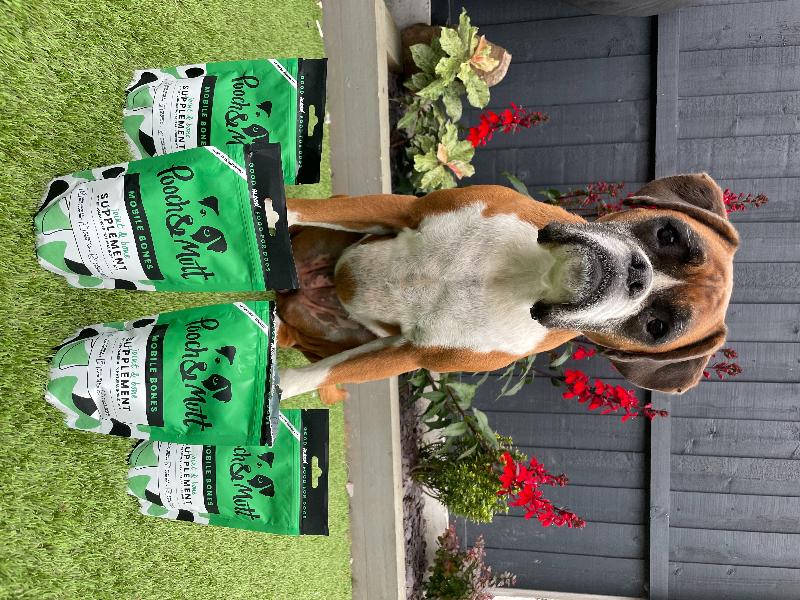 We love Pooch & Mutt