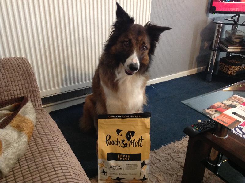 Excellent pooch-mutt food 100% guaranteed lives up to its name