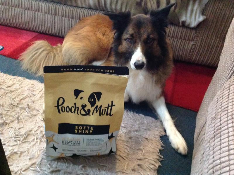 Excellent pooch-mutt food 100% guaranteed lives up to its name
