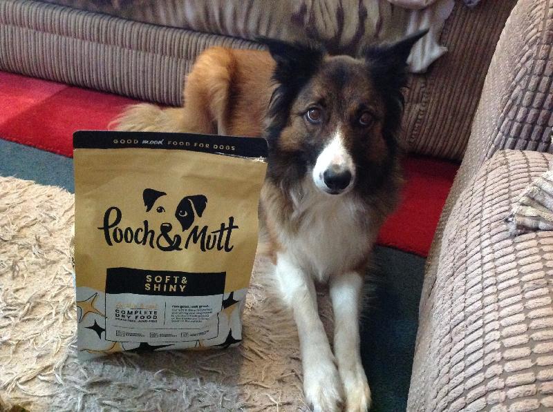 Excellent pooch-mutt food 100% guaranteed lives up to its name