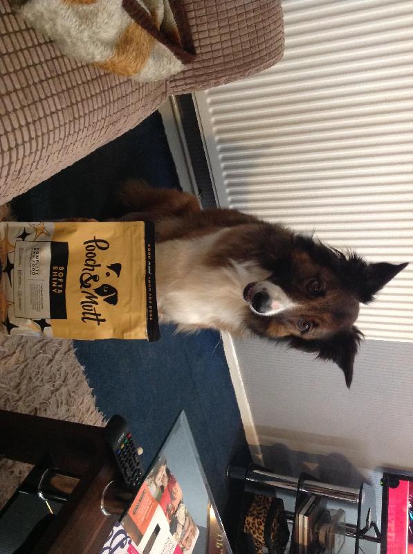 Excellent pooch-mutt food 100% guaranteed lives up to its name