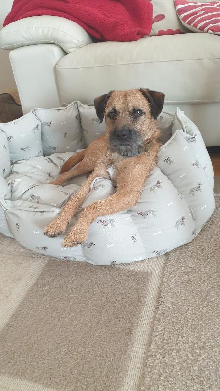 Great dig bed