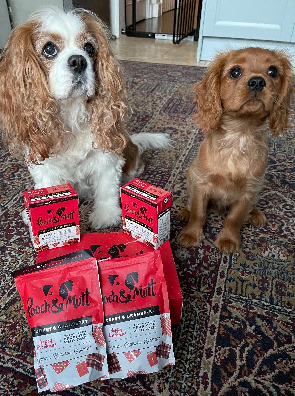 Fabulous Merry Poochmas gift idea