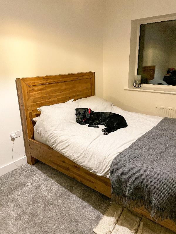 Dog Approval.