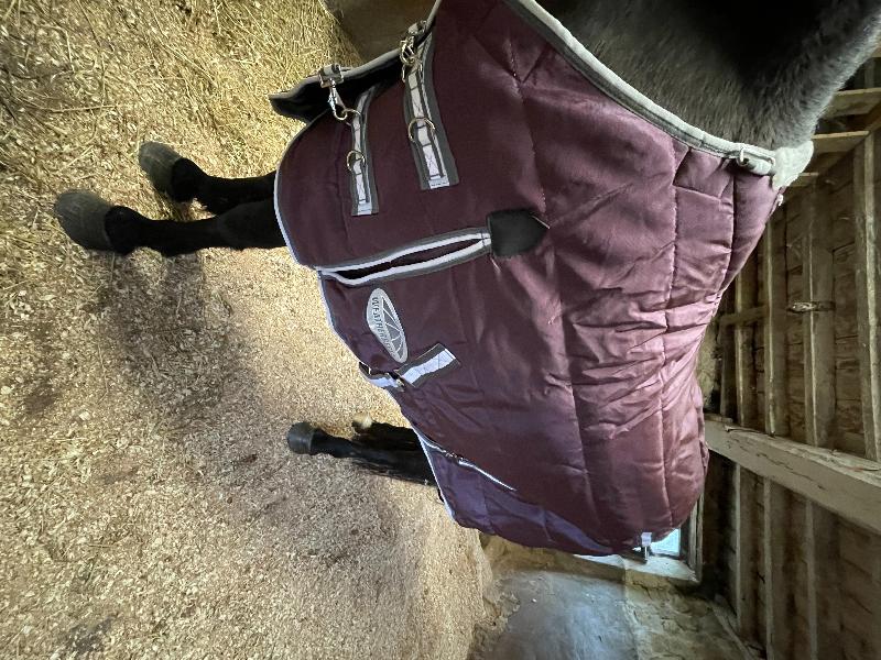 Fantastic cozy stable rug