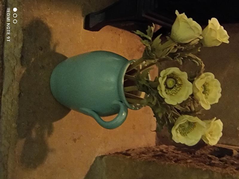 Lovely flowers