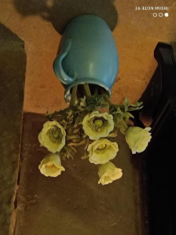 Lovely flowers