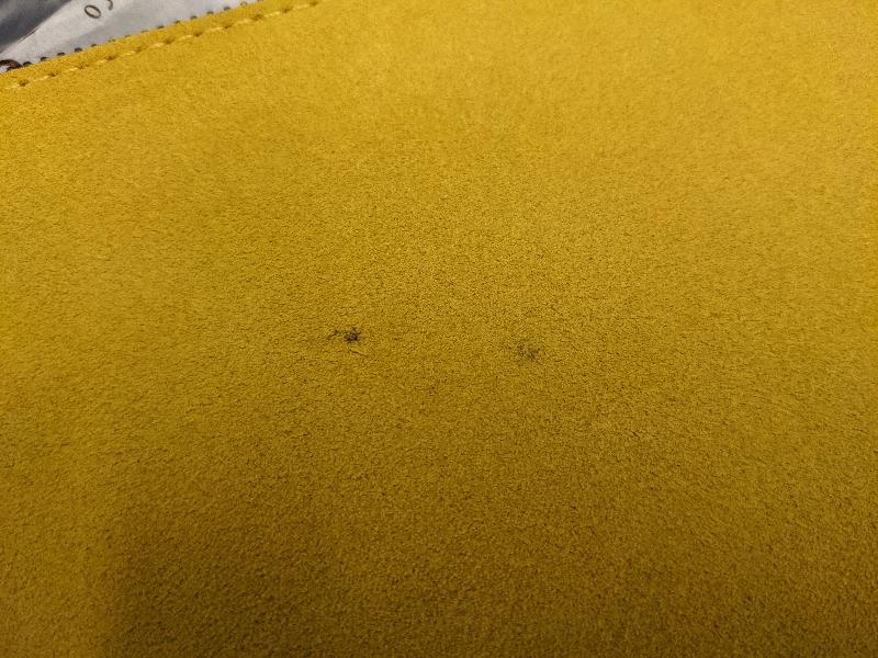 Stain on clutch upon arrival!