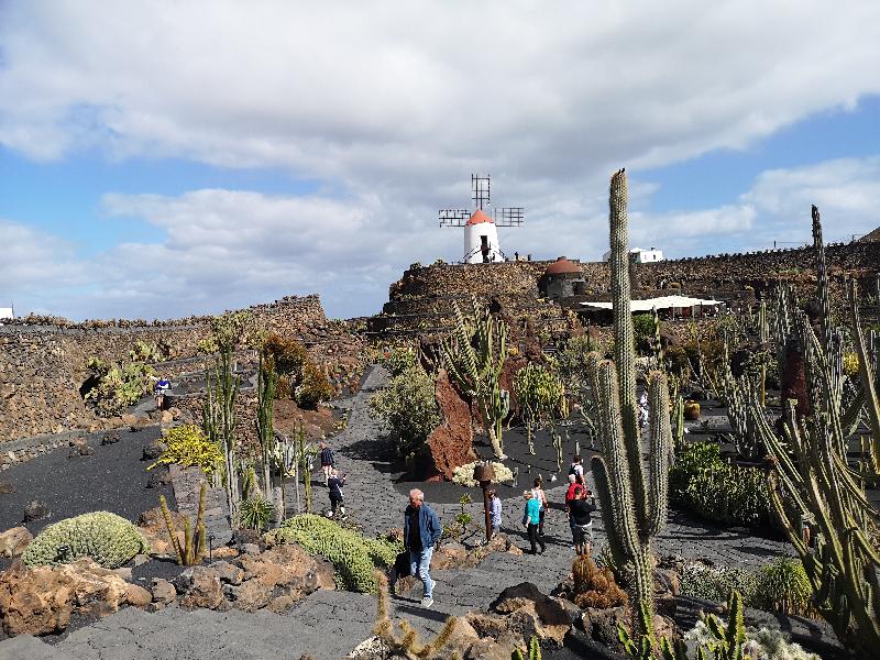 Canaries Nov 2021