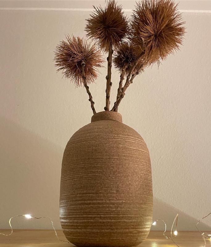 Beautiful flowers