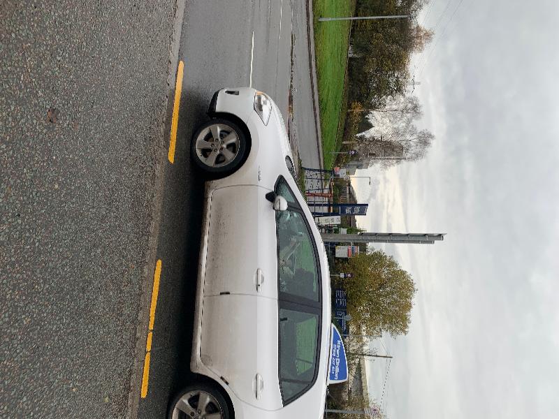 Crack on car door