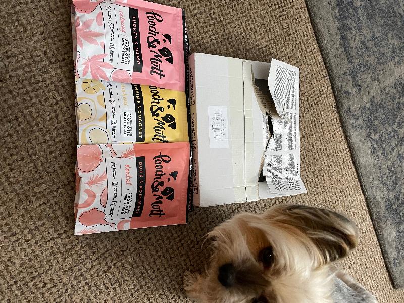 Lovely Products for your dog