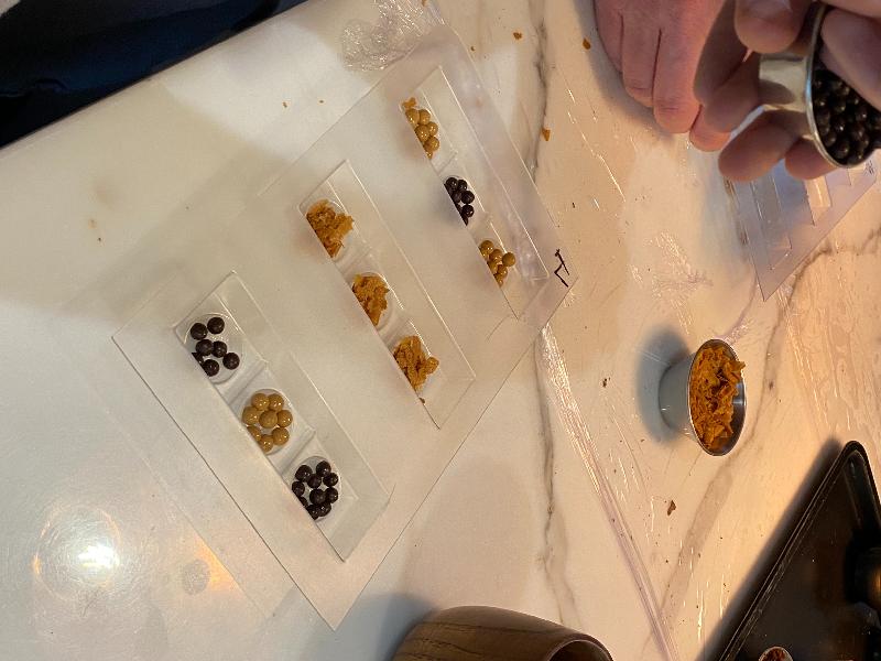 Chocolate Making Experience - Highly Recommended