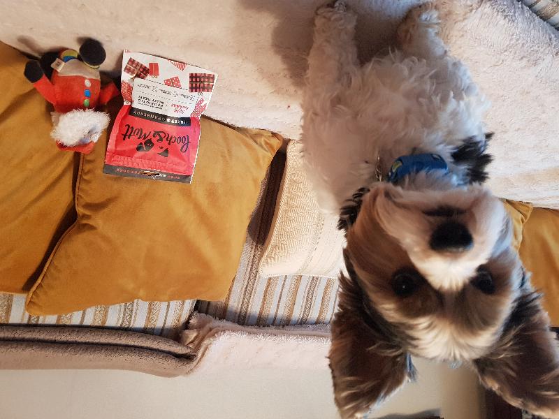 Excellent service and product