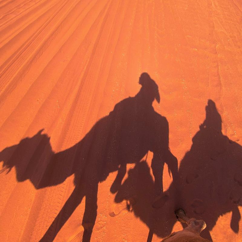 Life on Mars