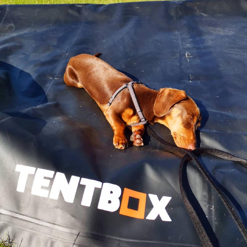 Take your camping experience to the next level 👌