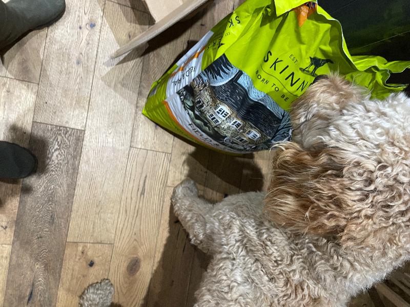 Had different dogs trying them on different food but Skinner’s is the best.