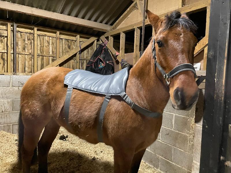 Massage pad and hot spot! Lovely product my mare love it too!