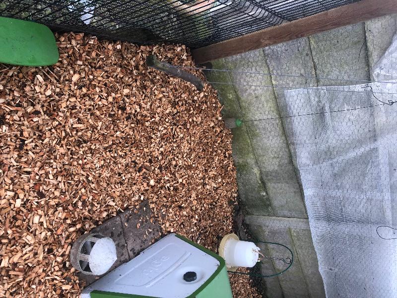Excellent service from start to finish