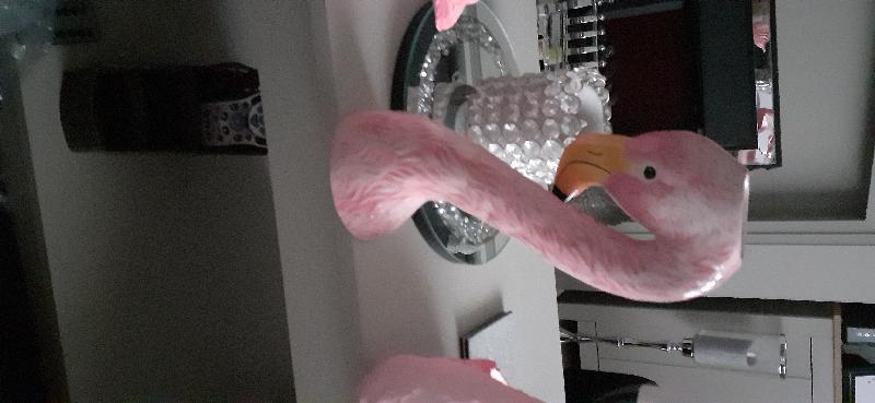 Very pleased with my purchase
